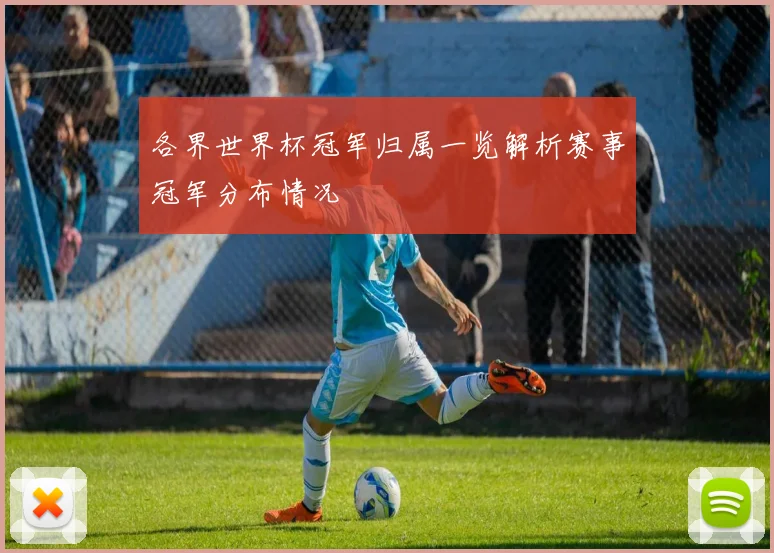 各界世界杯冠军归属一览解析赛事冠军分布情况