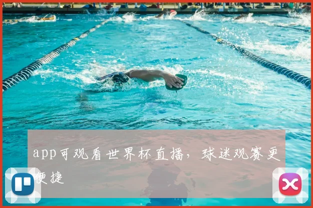 app可观看世界杯直播，球迷观赛更便捷