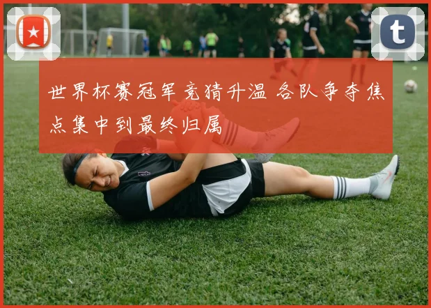 世界杯赛冠军竞猜升温 各队争夺焦点集中到最终归属
