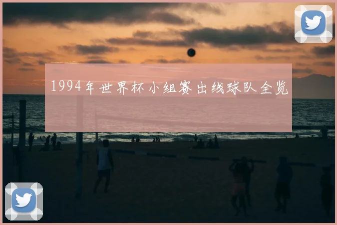 1994年世界杯小组赛出线球队全览