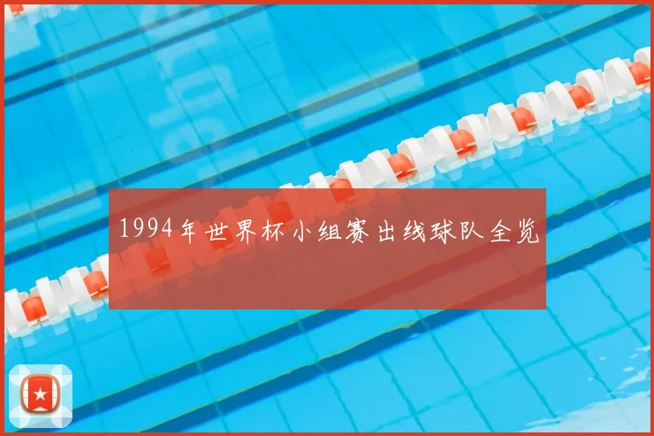 1994年世界杯小组赛出线球队全览