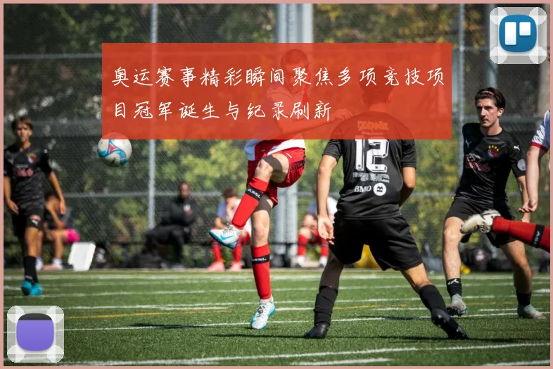 奥运赛事精彩瞬间聚焦多项竞技项目冠军诞生与纪录刷新